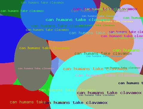 can humans take clavamox